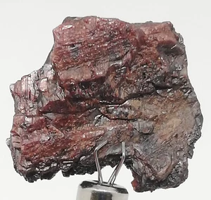 86 CARATS RARE RED MANGANOTANTALITE CRYSTAL FROM AFGHANISTAN, (KA-147), - Picture 1 of 13