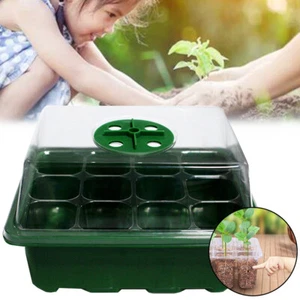 12 Hole Nursery Seed Propagation Seedling Starter Box Tray Plant Grow Trays - Picture 1 of 10