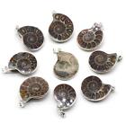 1PC Natural Ammonite Fossil Pendant Crystal Chakra Reiki Healing Amulet Energy