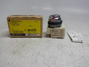 Square D Schneider Electric 9001KP38LR Pilot Light Harmony 9001K 120V 30MM - Foto 1 di 8