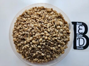 Dried Ukwa African Breadfruit Clean & Delicious! - Picture 1 of 2