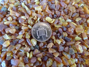 Lovely Antique Baltic Genuine Amber Raw Small Stones Craft Natur Bernstein 10g - Picture 1 of 4