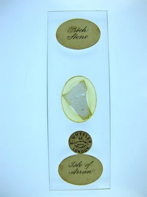 Antique microscope slide by E. Wheeler. Petrology. "Pitch Stone. Isle of Arran". - Image 1 of 4