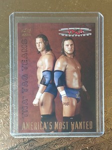 2004 Pacific TNA Tag Teams Americas Most Wanted James Storm Chris Harris #8