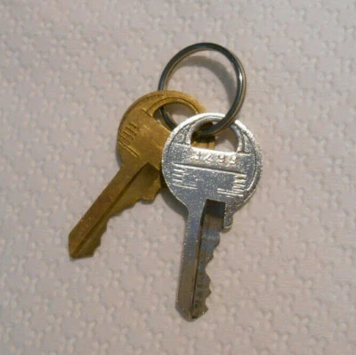 Lot of 2 Master Padlock Keys Code # 3299 Lock #1 No 3 No 7 Keys 1 Brass 1 Silver - Image 1 of 3