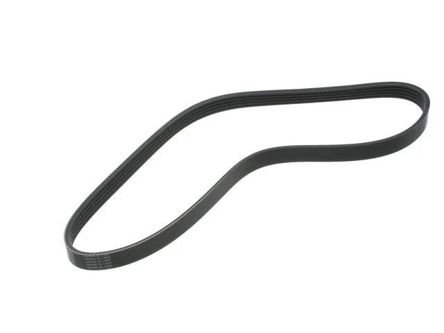 Power Steering Multi Rib Belt 81YHHK82 for Eagle Summit 1992 1994 1995 Foto 1 de 1