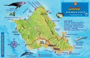 Oahu Hawaii Map & Reef Creatures Guide Waterproof Fish Card by Franko Maps - Imagen 1 de 2