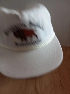 Minnesota Buffalo Association Trucker Hat Adjustable - Picture 1 of 7