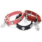 Diva Dog Paddington Collars - Pink - Small