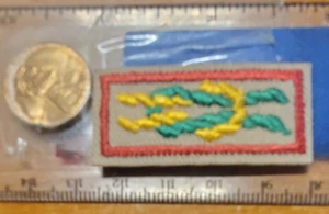 BSA James West Fellowship Award, leader knot, current, tan w/ plastic backing - Picture 1 of 2