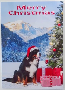 Berner Sennenhund Weihnachtskarte 2 Motive mit Einlagen & goldenen Umschlägen - Bild 1 von 12
