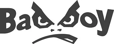 Bad Boy vinyl cut Sticker / decal 200mm x 80mm, WHITE or pick a colour from list - Image 1 of 4