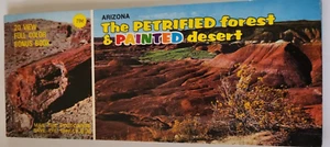 Postkarte: Arizona Der versteinerte Wald & bemalte Wüste, mit Mini-Heft. - Bild 1 von 2