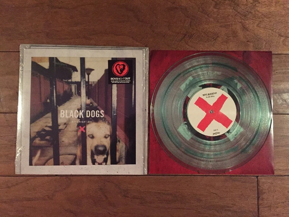 Boys Night Out Black Dogs 10" Clear Color Vinyl Fall Out Boy The Starting Line  - Image 1 of 4