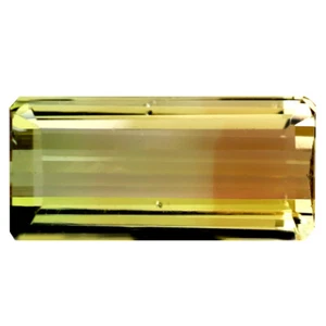 2.66 ct Octagon (12 x 6 mm) Unheated / Untreated Mozambique Bi- Tourmaline - Picture 1 of 2