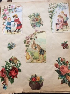 CHOCOLAT POULAIN, LAPIN ET FLEURS , neuf découpis Fin XIXÈME. - Imagen 1 de 7
