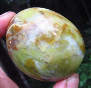 GREEN OPAL GORGEOUS RARE AAA GRADE POLISHED CRYSTAL PALMSTONE MADAGASCAR *2 - Picture 1 of 7