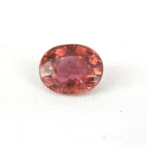 SHOLA Real 1,70 Ct Rubelita Natural / Rubelita (Turmalina Rosa) - Imagen 1 de 2