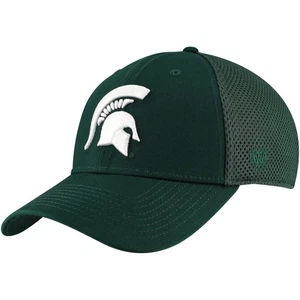 Men's Top of the World Green Michigan State Spartans Spacer Flex Hat - Picture 1 of 4