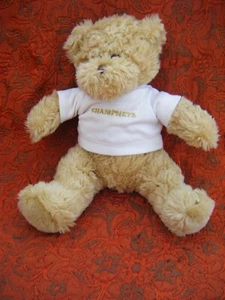CHAMPNEYS LUXURY SPA BEIGE TEDDY BEARIN T SHIRT 11" APPROX B100 - Picture 1 of 4