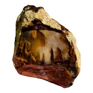 Pacific Northwest Petrified Wood Random Pull Saddle Mountain - Bild 1 von 15