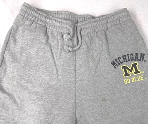 Colosseum graue Fleecehose Herren Gr. XL für Michigan M Go blau - Bild 1 von 3