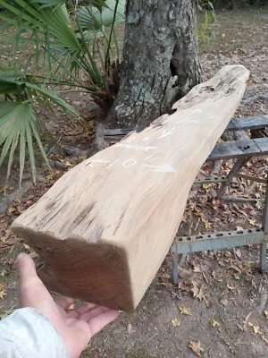 72" LONG X 6" THICK REAL Old Growth Ancient Pecky Sinker Cypress Reclaimed Wood - Image 1 of 4