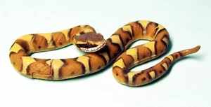 Kaiyodo Furuta Schoko Ei Tier in Japan P5 Japanische Grube Viper Mamushi US-Verkäufer - Bild 1 von 2