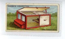 (Jf8031) OGDENS,POULTRY REARING & MANAGEMENT 1ST,SMALL INTENSIVE HOUSE,1922,#5