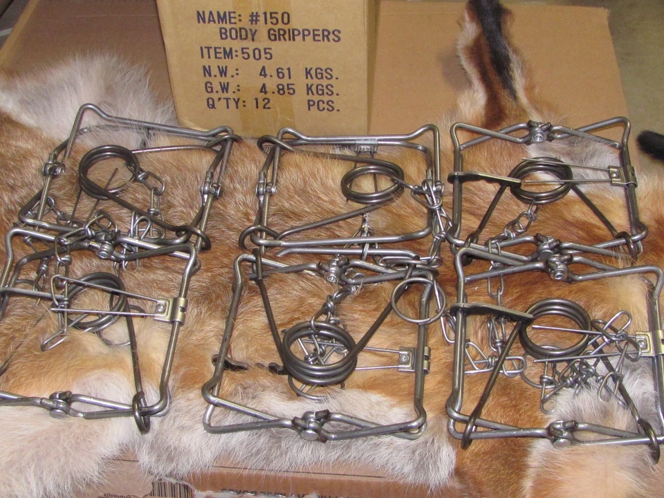 12 Bridger 150 Magnum Body GrippersTraps 505  Muskrat  Mink Fisher new sale - Image 1 of 1