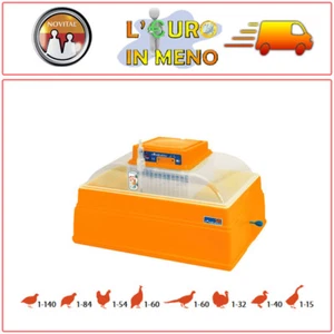 INCUBATRICE MANUALE NOVITAL COVATUTTO 54 SCOVAMENTO UOVA GALLINA QUAGLIA PAPERA - Foto 1 di 1