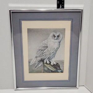 Vintage 1977 Schneeeule mattiert 11 Zoll × 14 Zoll Folienkunst von R.J. Smith - Bild 1 von 7