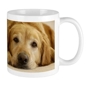 11 Unzen Becher Golden Retriever: Need Morning - Bedruckte Keramik Kaffee Tee Tasse Geschenk - Bild 1 von 1
