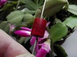 1 X Russian Capacitors KVI-1 DOORKNOB CAPACITORS 22pF +/-10%  10KV. 1 PCS  - Picture 1 of 4