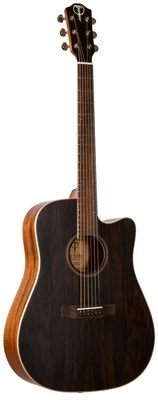 Guitarra acústica Teton STS000ZISCE Dreadnought Foto 1 de 2