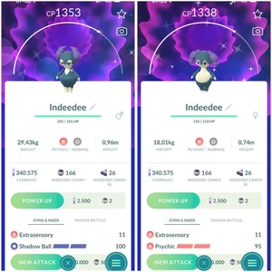 Shiny Indeedee Male - Female | Mini PTC 80k stardust - Picture 1 of 4