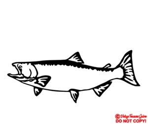 KING SALMON FISH Vinyl Decal Sticker Car Window Wall Bumper Chinook Fly Fishing - Picture 1 of 6