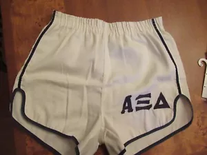 Alpha Xi Delta Vintage Gym/Running Shorts - Women's Medium - Picture 1 of 4