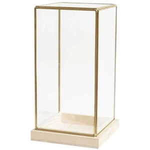 Dekorative Glasvitrine für Home Office für Sammlerstücke - Bild 1 von 12
