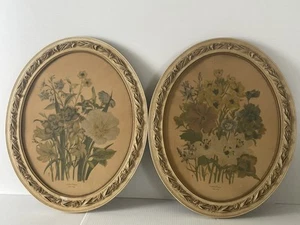 Vintage Loudon Blumen Drucke Holz gerahmt 1783-1843 Blumen Paar - Bild 1 von 24