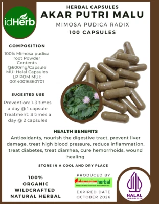 IDHERB 100-500 KAPSELN Mimosa Pudica Akar Putri Malu NATÜRLICHE BIO KRÄUTER KRÄUTER