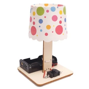 Teachers STEM Led Color-Changing Lamp DIY Kids Science Educational Toy Ages 8+ - Picture 1 of 3