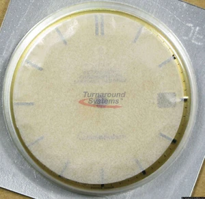 Quadrante Omega Constellation, oro con indici oro e nero, 29 mm, NUOVO! - Foto 1 di 2