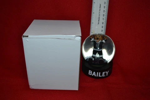 LA Kings Mascot "Bailey" Arms Up 2018 Snow Globe (One Size) New In Box! Cover