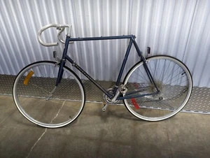 Terranaut Ariel 12 Speed Road Sugino Bicycle Bike Vintage VTG Touring - Picture 1 of 4