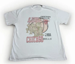 Vintage Chicago Bulls Championship NBA Abercrombie and Fitch Grafik T-Shirt Medium - Bild 1 von 6