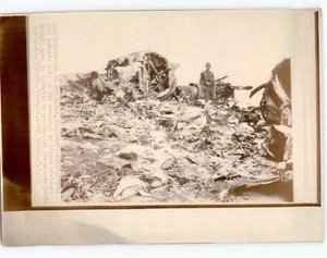ISRAELI Soldier Surveys Shot Down LIBYAN AIRLINER Vintage 1973 Press Photo - Picture 1 of 2