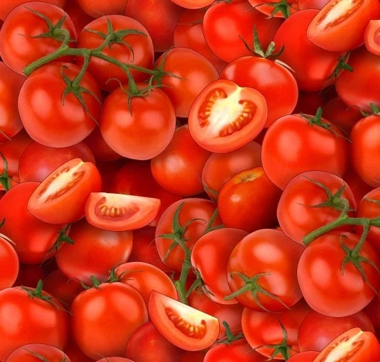 ELIZABETH'S STUDIO Fat Quarter Food Festival Tomatoes Cotton Quilting Sewing Fabric