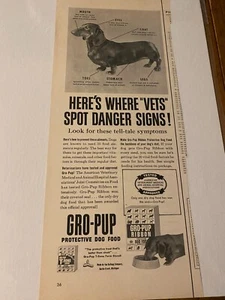 Vintage 1953 Kellogg's Gro Pup Dog Dachshund Dog ad - Picture 1 of 1