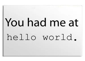 Calamita frigo Hello World programmatore programmazione lingua migliore idea regalo evento - Foto 1 di 7